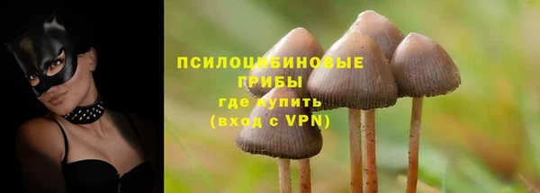 метадон Михайлов
